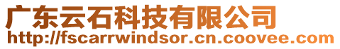 廣東云石科技有限公司