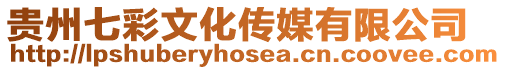 貴州七彩文化傳媒有限公司