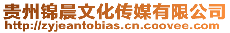 貴州錦晨文化傳媒有限公司