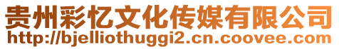 貴州彩憶文化傳媒有限公司