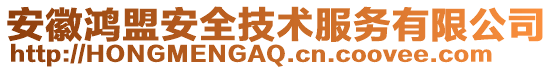 安徽鴻盟安全技術(shù)服務(wù)有限公司