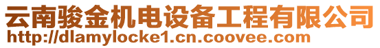 云南駿金機電設(shè)備工程有限公司