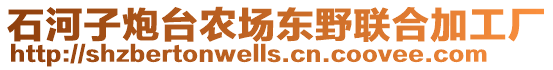 石河子炮臺農(nóng)場東野聯(lián)合加工廠