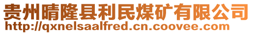 貴州晴隆縣利民煤礦有限公司