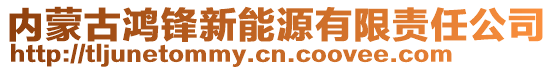 內(nèi)蒙古鴻鋒新能源有限責(zé)任公司