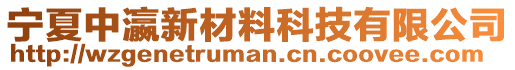 寧夏中瀛新材料科技有限公司