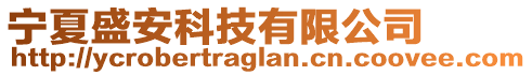 寧夏盛安科技有限公司