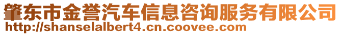 肇東市金譽汽車信息咨詢服務有限公司