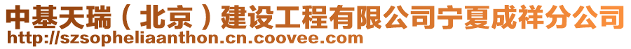 中基天瑞（北京）建設(shè)工程有限公司寧夏成祥分公司