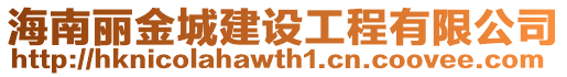 海南麗金城建設工程有限公司