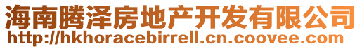 海南腾泽房地产开发有限公司