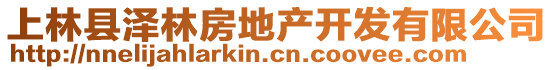 上林縣澤林房地產(chǎn)開發(fā)有限公司