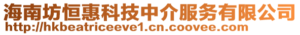 海南坊恒惠科技中介服務(wù)有限公司