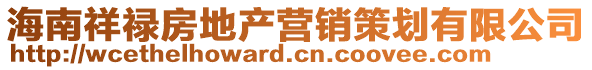 海南祥禄房地产营销策划有限公司