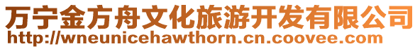 萬(wàn)寧金方舟文化旅游開發(fā)有限公司