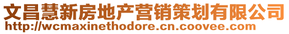 文昌慧新房地產營銷策劃有限公司