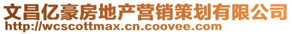 文昌億豪房地產營銷策劃有限公司