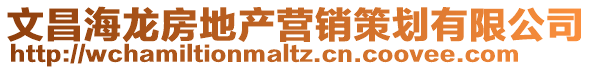 文昌海龍房地產(chǎn)營銷策劃有限公司