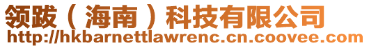 领跋（海南）科技有限公司