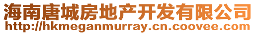 海南唐城房地產(chǎn)開(kāi)發(fā)有限公司