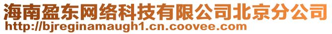 海南盈东网络科技有限公司北京分公司