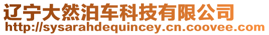 遼寧大然泊車科技有限公司