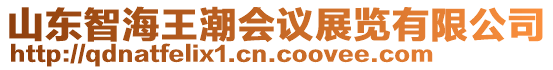 山東智海王潮會議展覽有限公司