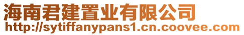 海南君建置業(yè)有限公司