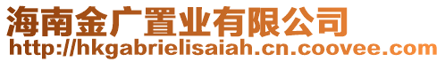 海南金廣置業(yè)有限公司