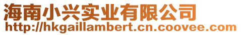 海南小興實業(yè)有限公司