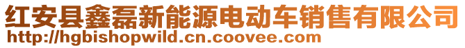 红安县鑫磊新能源电动车销售有限公司