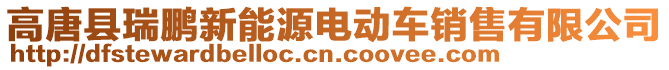 高唐縣瑞鵬新能源電動車銷售有限公司