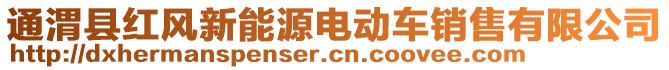 通渭縣紅風(fēng)新能源電動(dòng)車銷售有限公司