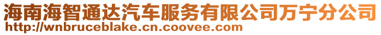 海南海智通達汽車服務有限公司萬寧分公司