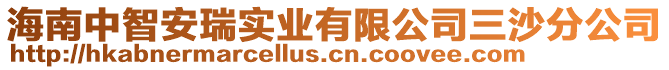 海南中智安瑞實業(yè)有限公司三沙分公司