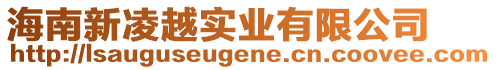 海南新凌越實業有限公司