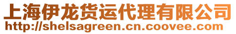 上海伊龍貨運(yùn)代理有限公司