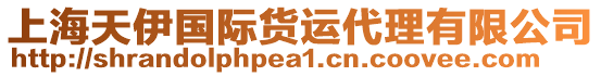 上海天伊國(guó)際貨運(yùn)代理有限公司