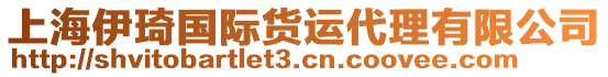 上海伊琦國(guó)際貨運(yùn)代理有限公司