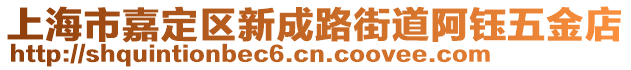 上海市嘉定區(qū)新成路街道阿鈺五金店