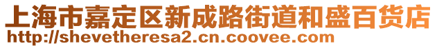 上海市嘉定區(qū)新成路街道和盛百貨店