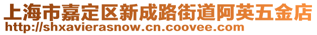 上海市嘉定區(qū)新成路街道阿英五金店