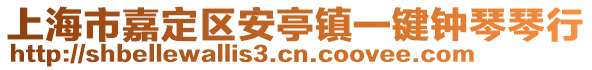 上海市嘉定區(qū)安亭鎮(zhèn)一鍵鐘琴琴行