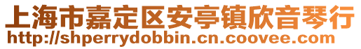 上海市嘉定區(qū)安亭鎮(zhèn)欣音琴行