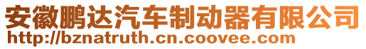 安徽鵬達汽車制動器有限公司