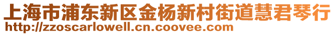 上海市浦東新區(qū)金楊新村街道慧君琴行