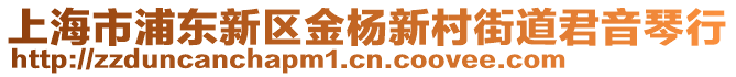 上海市浦東新區(qū)金楊新村街道君音琴行