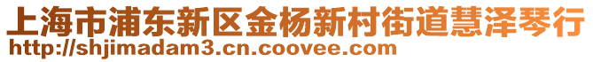 上海市浦東新區(qū)金楊新村街道慧澤琴行