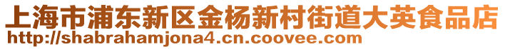 上海市浦東新區(qū)金楊新村街道大英食品店