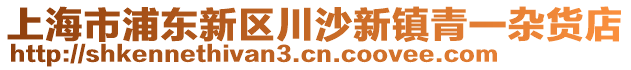 上海市浦東新區(qū)川沙新鎮(zhèn)青一雜貨店